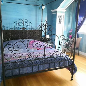 book here